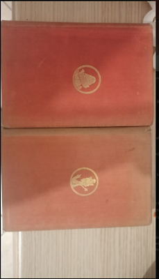 Foto dell'oggetto di un acquirente verificato