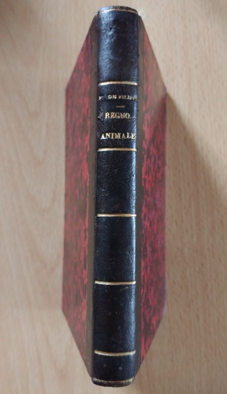 Filippo De Filippi - Regno Animale .