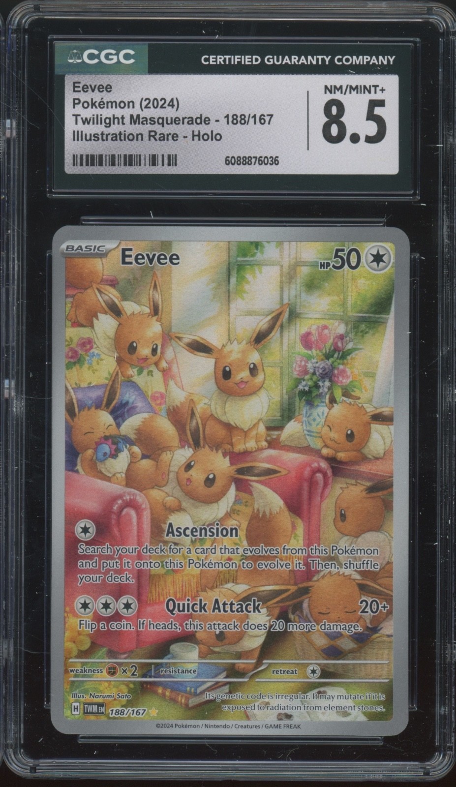 2024 Pokemon Twilight Masquerade Illustration Rare Holo #188 Eevee CGC 8.5