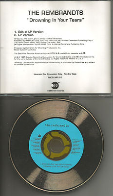 Danny Wilde THE REMBRANDTS Drowning in your tears RARE EDIT PROMO DJ CD single 