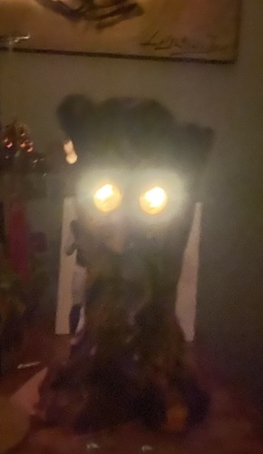 Photos de l'objet d'un acheteur vérifié