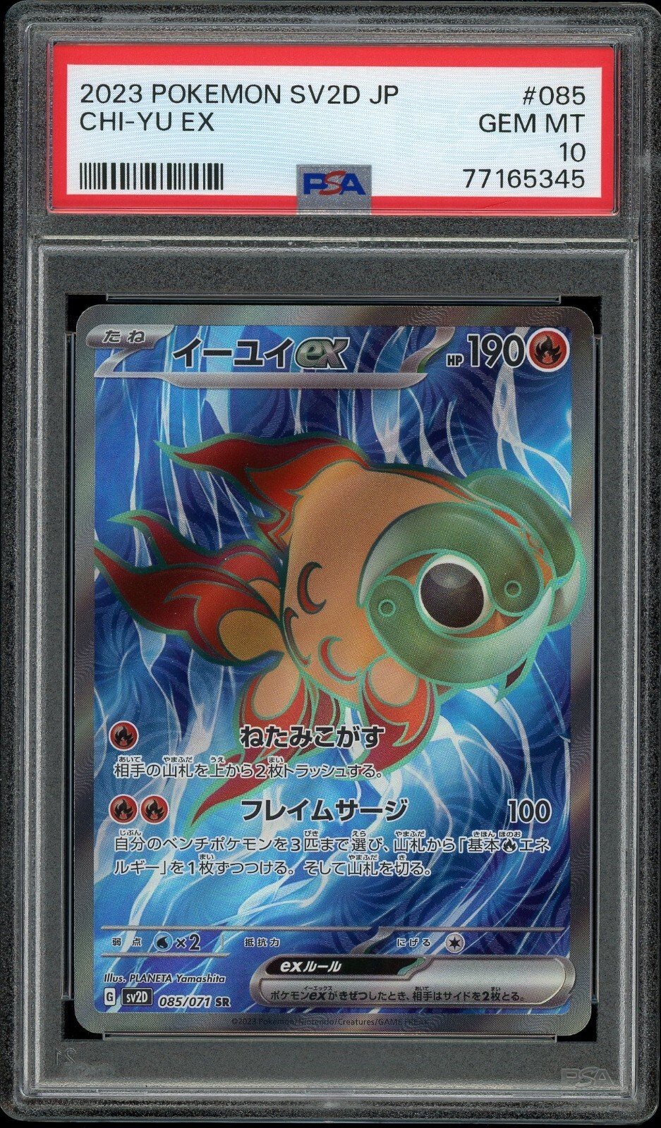 せんよう $_57.JPG?set_id=880000500F