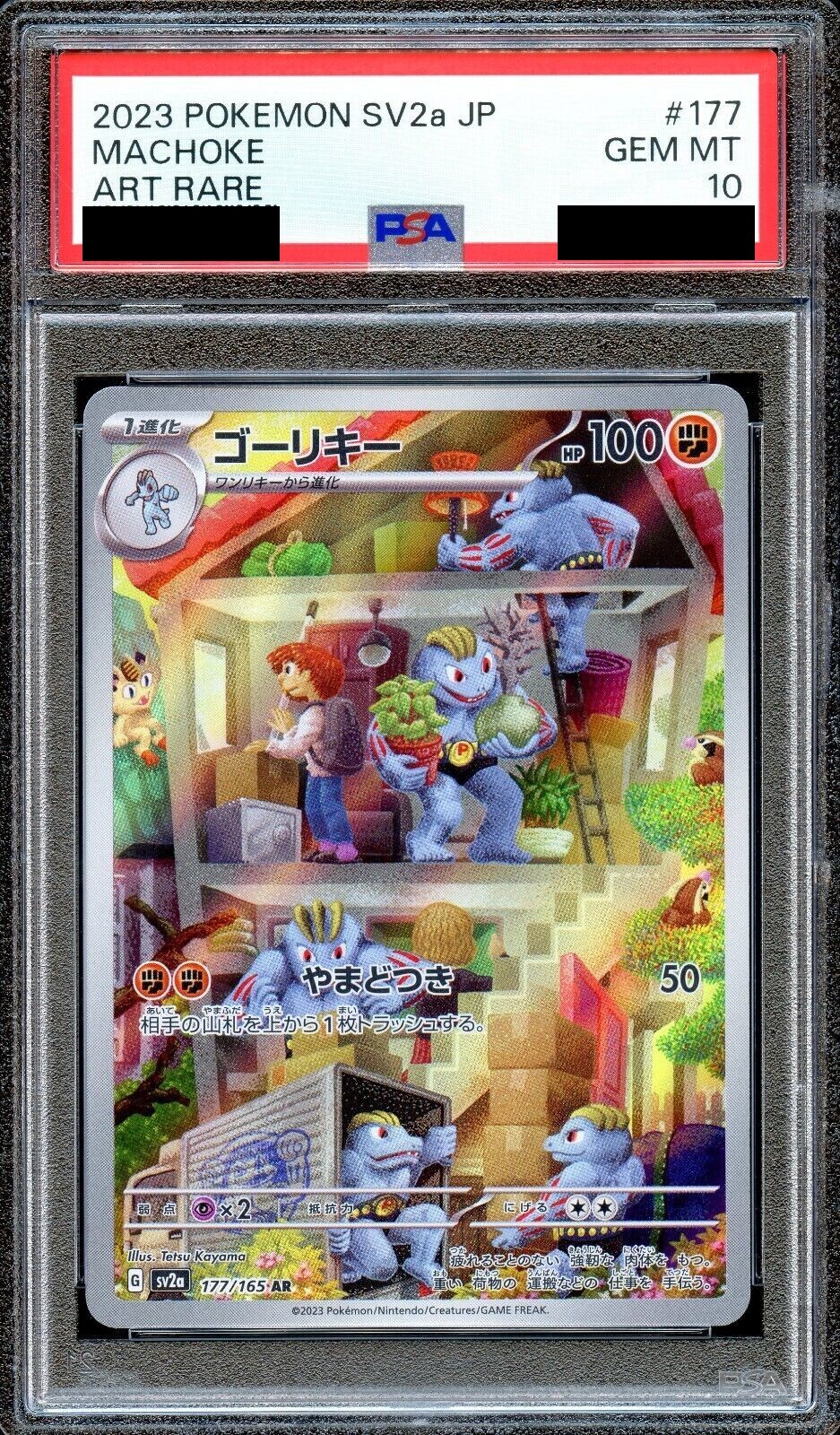 ★PSA10★【ゴーリキー/AR/SV2a】MACHOKE 177/165 Pokémon Machoke AR 177/165 sv2a PSA 10 » Poke-Collectibles.shop