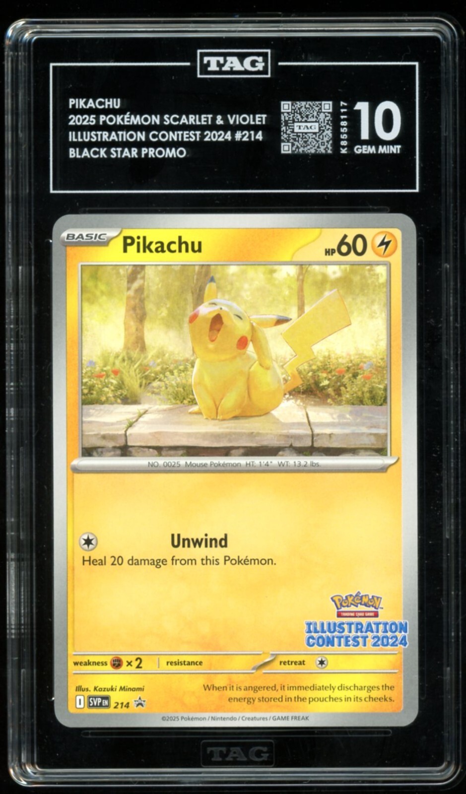 ポケモン ポストカードセット 10枚＋おまけ 上質で快適 Pokemon Box Booster s8a Collection” Anniversary