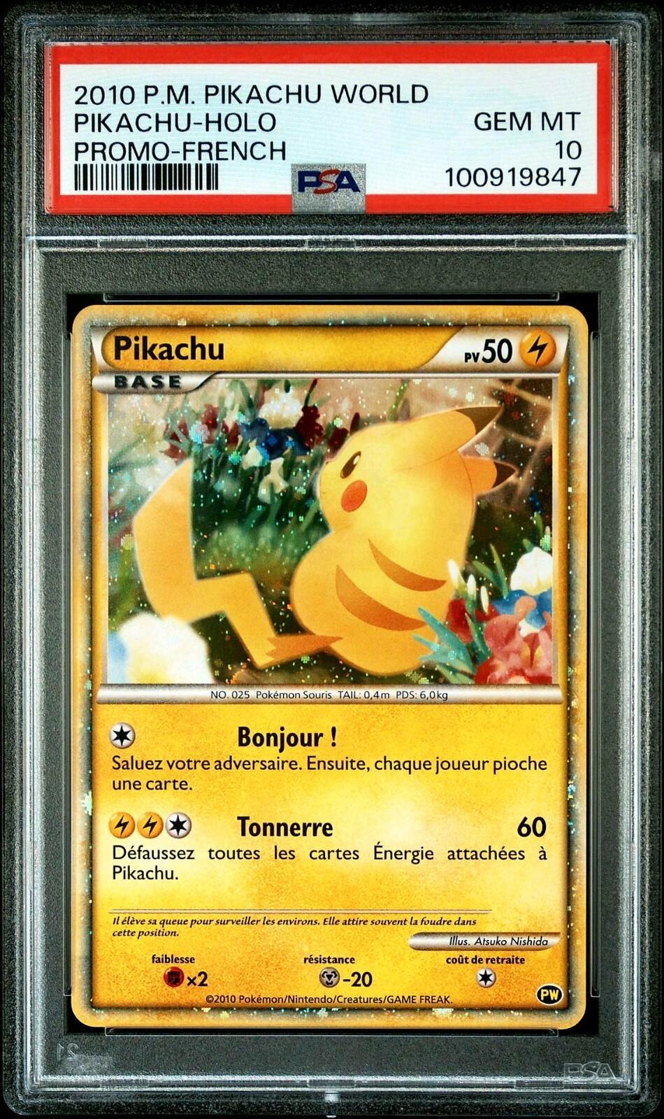PSA 10 GEM MINT Pikachu HOLO WORLD COLLECTION PROMO 2010