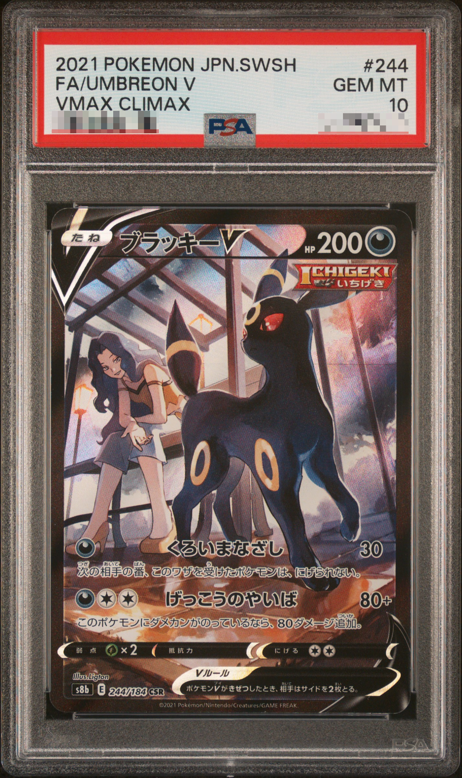 ★PSA10★【ブラッキーV/CSR/S8b】UMBREON V 244/184 PSA 10 Umbreon V CSR 244/184 S8b VMAX Climax - Pokemon Card