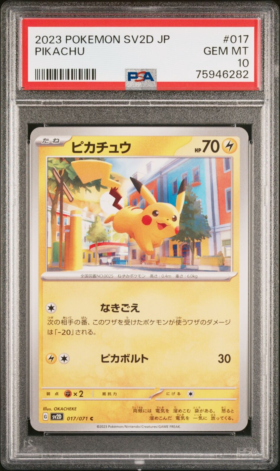 $_10.JPG?set_id=2 $_10.JPG?set_id=2