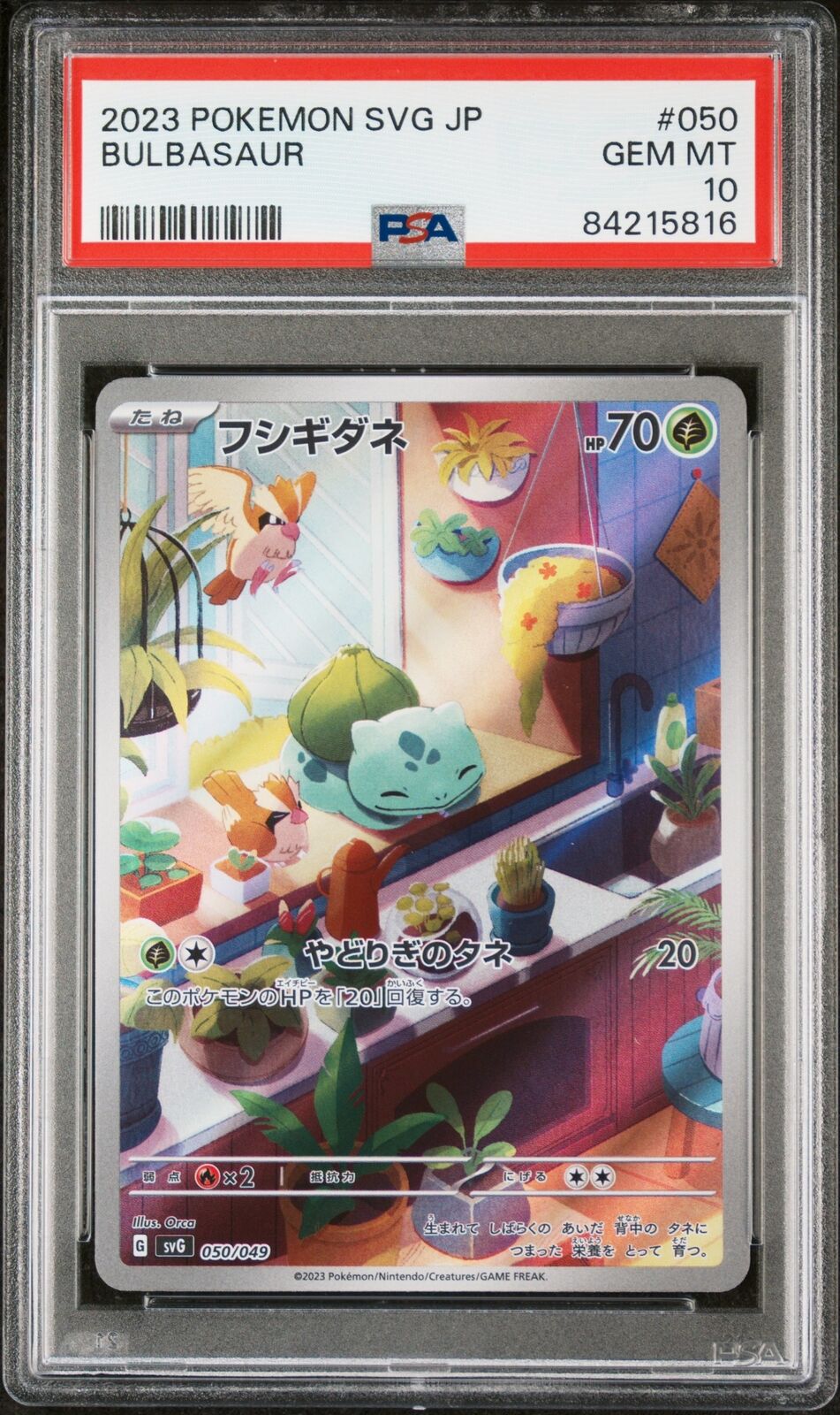 PSA 10 GEM MINT JAPANESE POKEMON 2023 BULBASAUR 050/049 PSA 10 GEM MINT JAPANESE POKEMON 2023 BULBASAUR 050/049