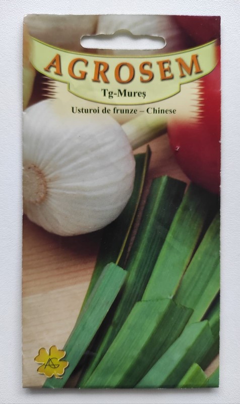 Graines Ciboule De Chine  Ciboulail Ail Chinois  (Allium Tuberosum) 