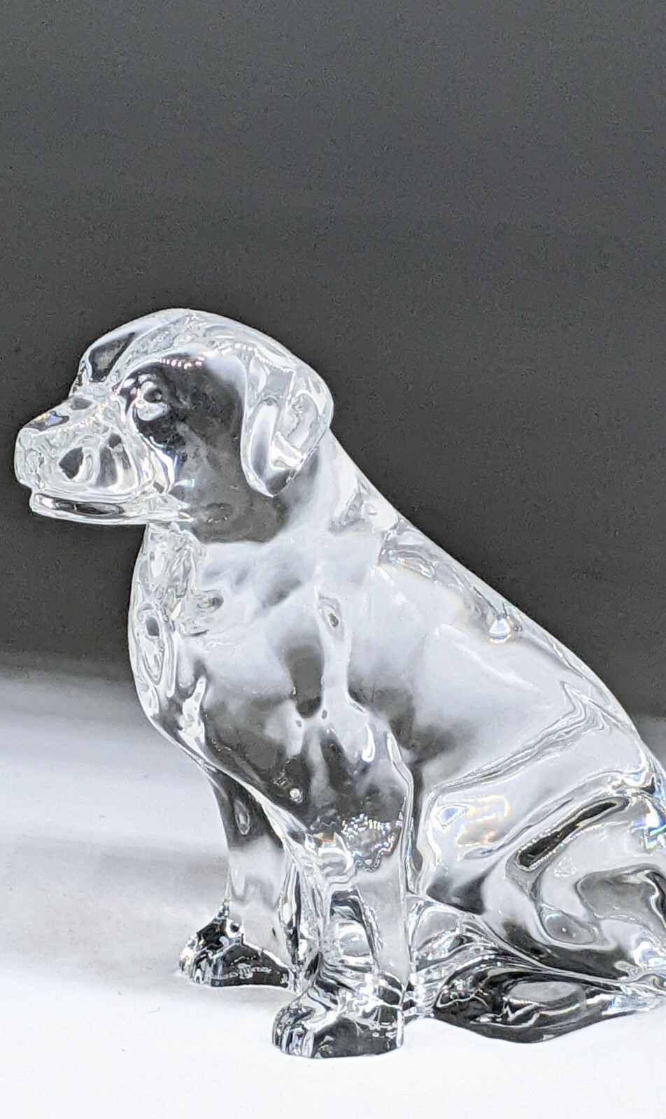 Waterford Crystal Labrador Retriever Dog 6