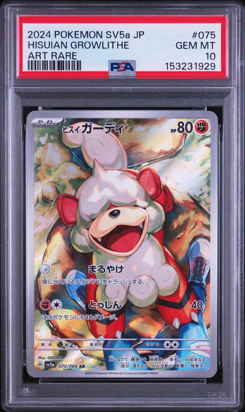 2024 Pokemon Japanese Hisuian Growlithe 075/066 Crimson sv5a PSA 10 #153231929
