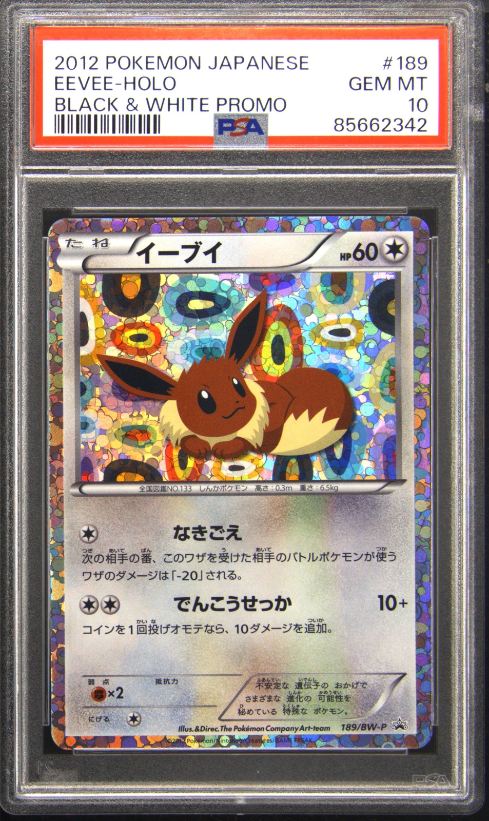 PSA 10 Eevee Holo Black & White BW Promo #189 Japanese 2012 PSA 10 Eevee Holo Black & White BW Promo #189 Japanese 2012
