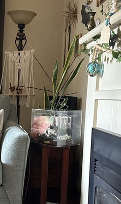 Fotos del artículo de un comprador verificado