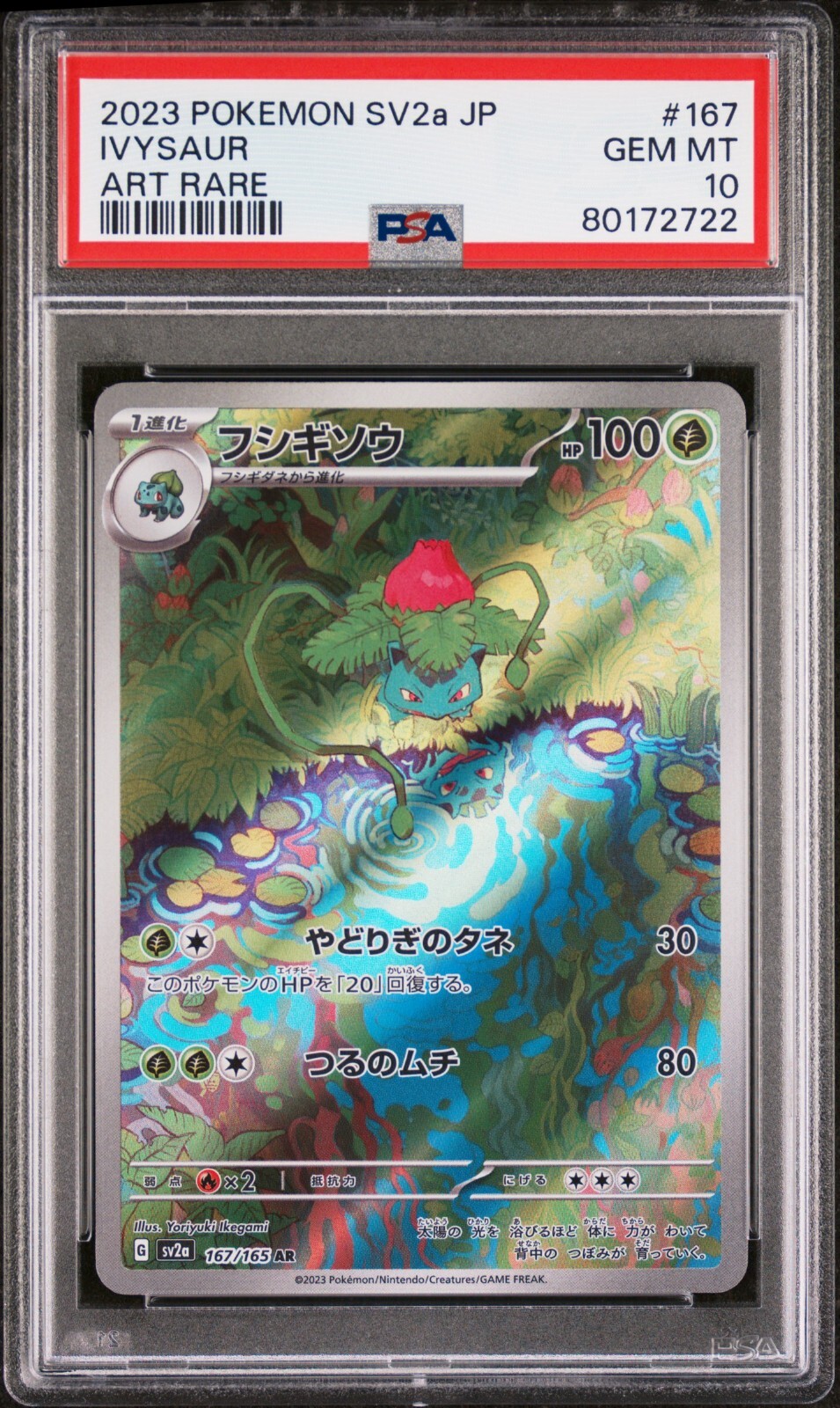 PSA 10 Pokemon Japanese 151 Ivysaur AR 167/165 SV2a Art Rare PSA 10 Pokemon Japanese 151 Ivysaur AR 167/165 SV2a Art Rare