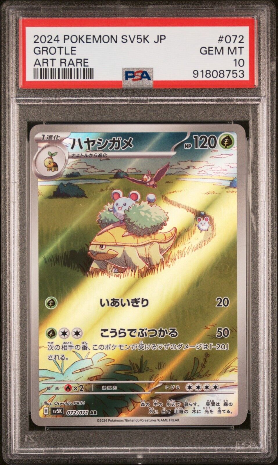 PSA 10 - 2024 POKEMON JAPANESE SV5K-WILD FORCE 072 GROTLE PSA 10 - 2024 POKEMON JAPANESE SV5K-WILD FORCE 072 GROTLE