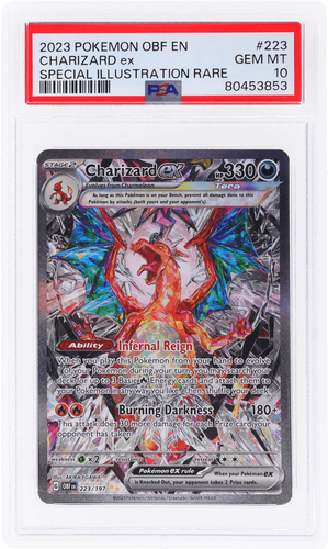 ブイズオールPSA10 ブイズオールPSA10