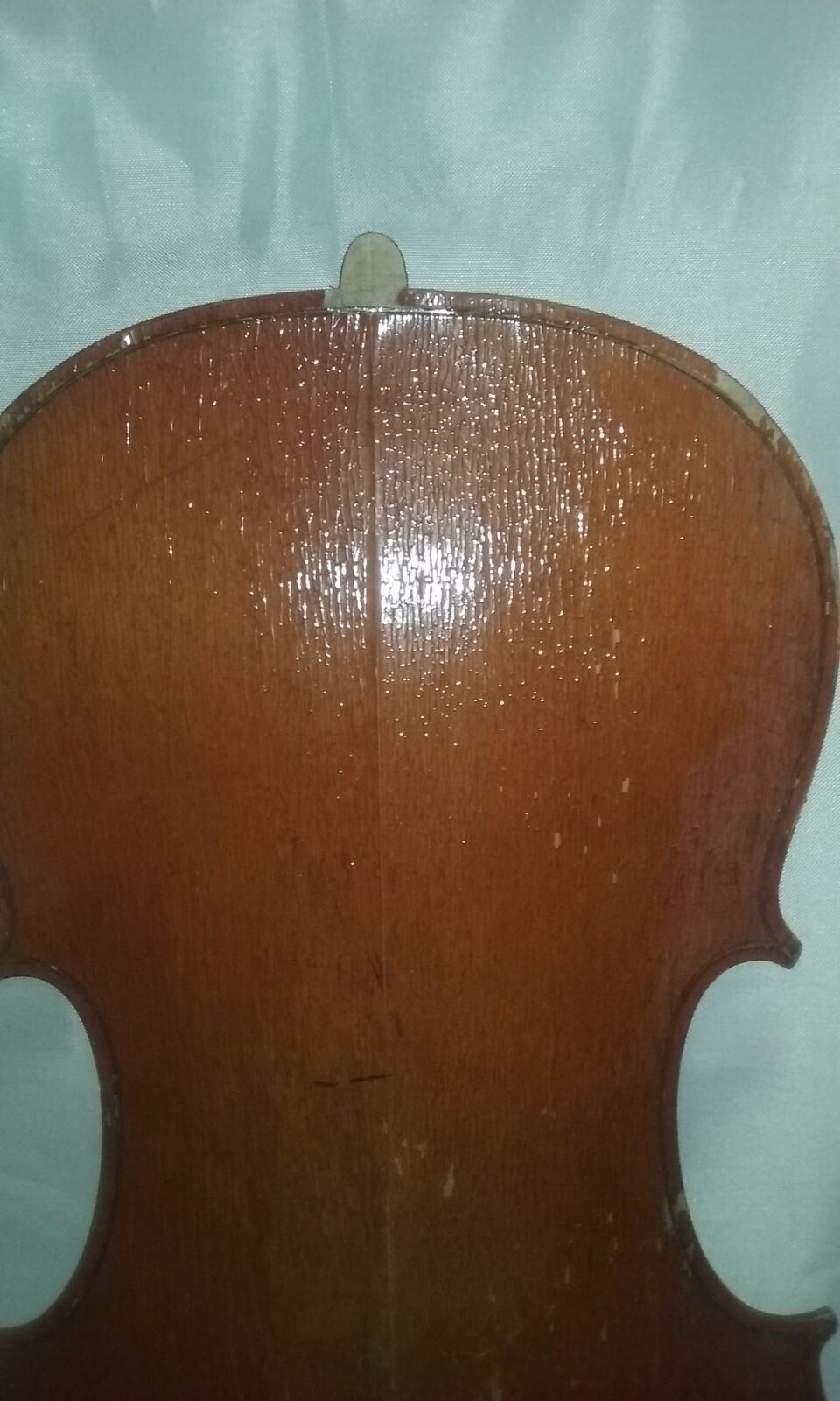 cello 3/4  back  karl knilling
