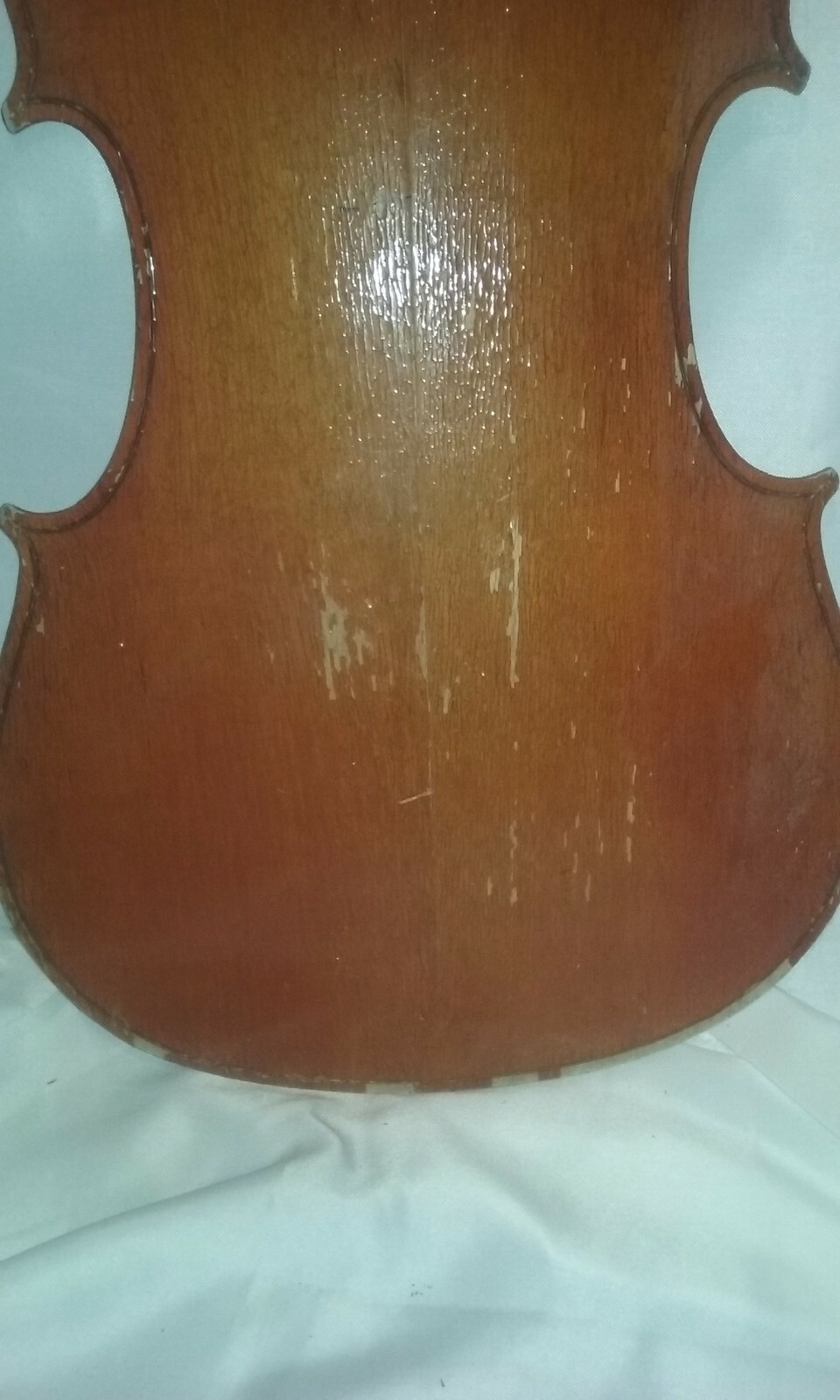 cello 3/4  back  karl knilling