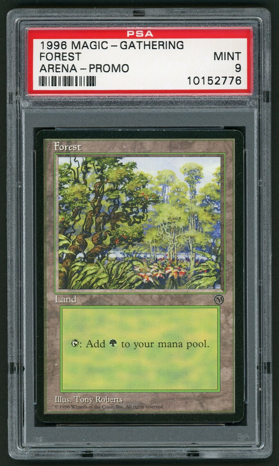 1996 MTG Magic the Gathering Card Forest Arena Promo Circle