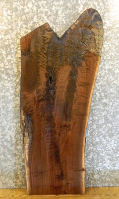 Salvaged Partial Live Edge Black Walnut Sofa/Side Table Top Slab 1519
