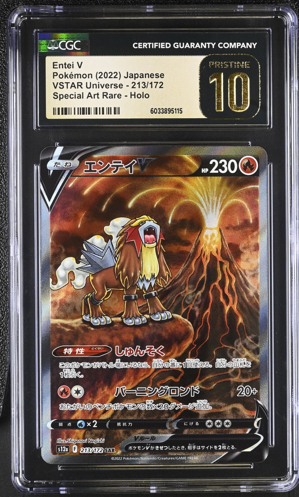 CGC 10 Pristine Entei V Holo 213/172 SAR VSTAR Universe