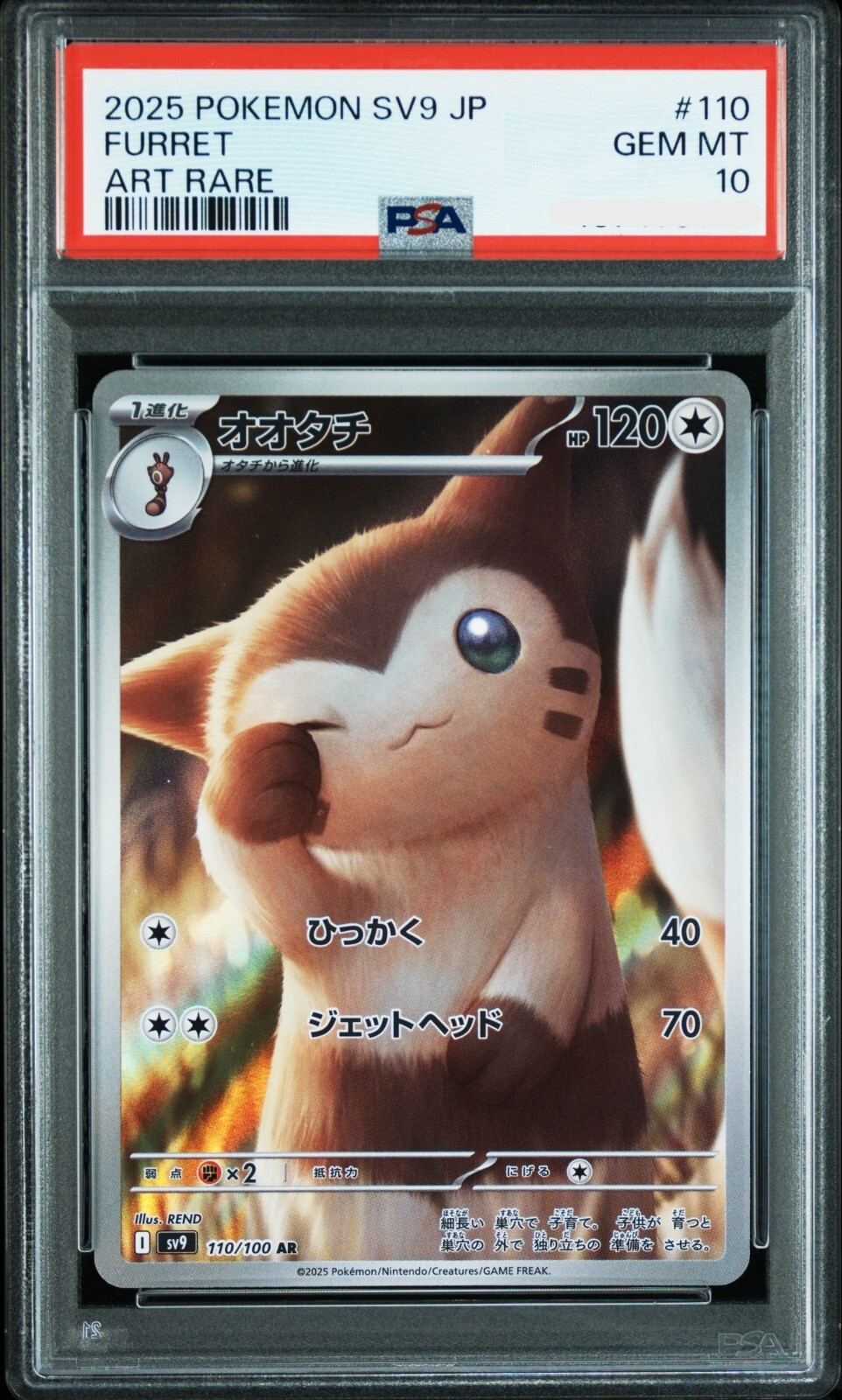 PSA 10 POKEMON BATTLE PARTNERS 2025 Furret ART RARE sv9 #110