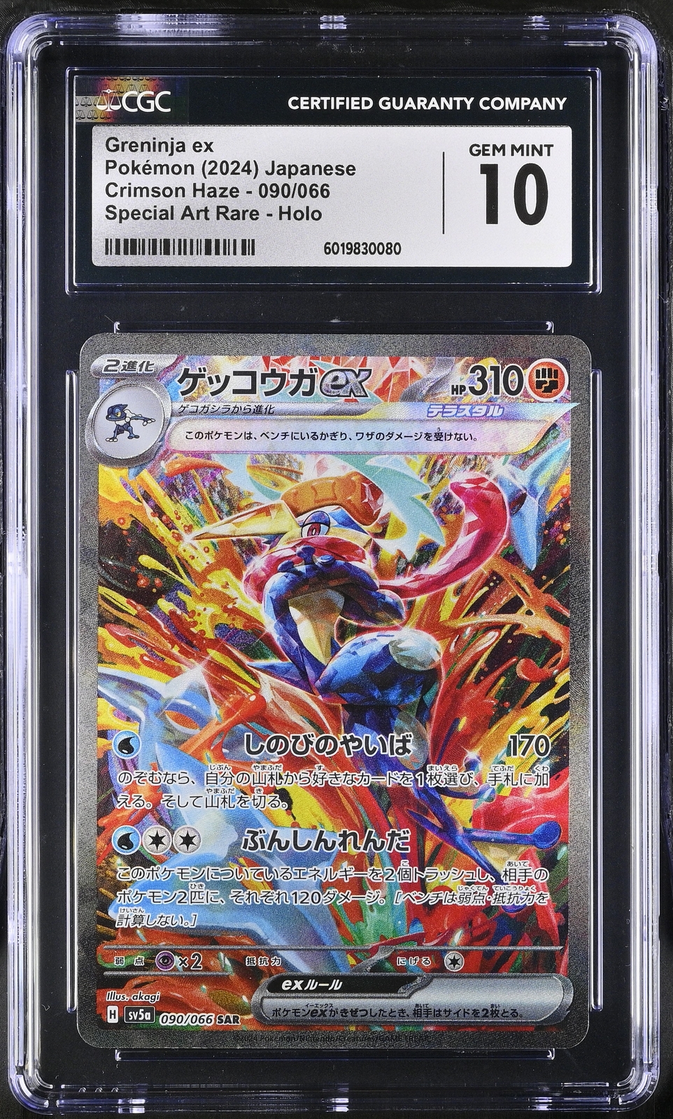 グレイシアEX 2024年 SPECIAL ART RARE 2024 Pokemon Japanese Sv8a- #226 Terapagos Ex Special Art
