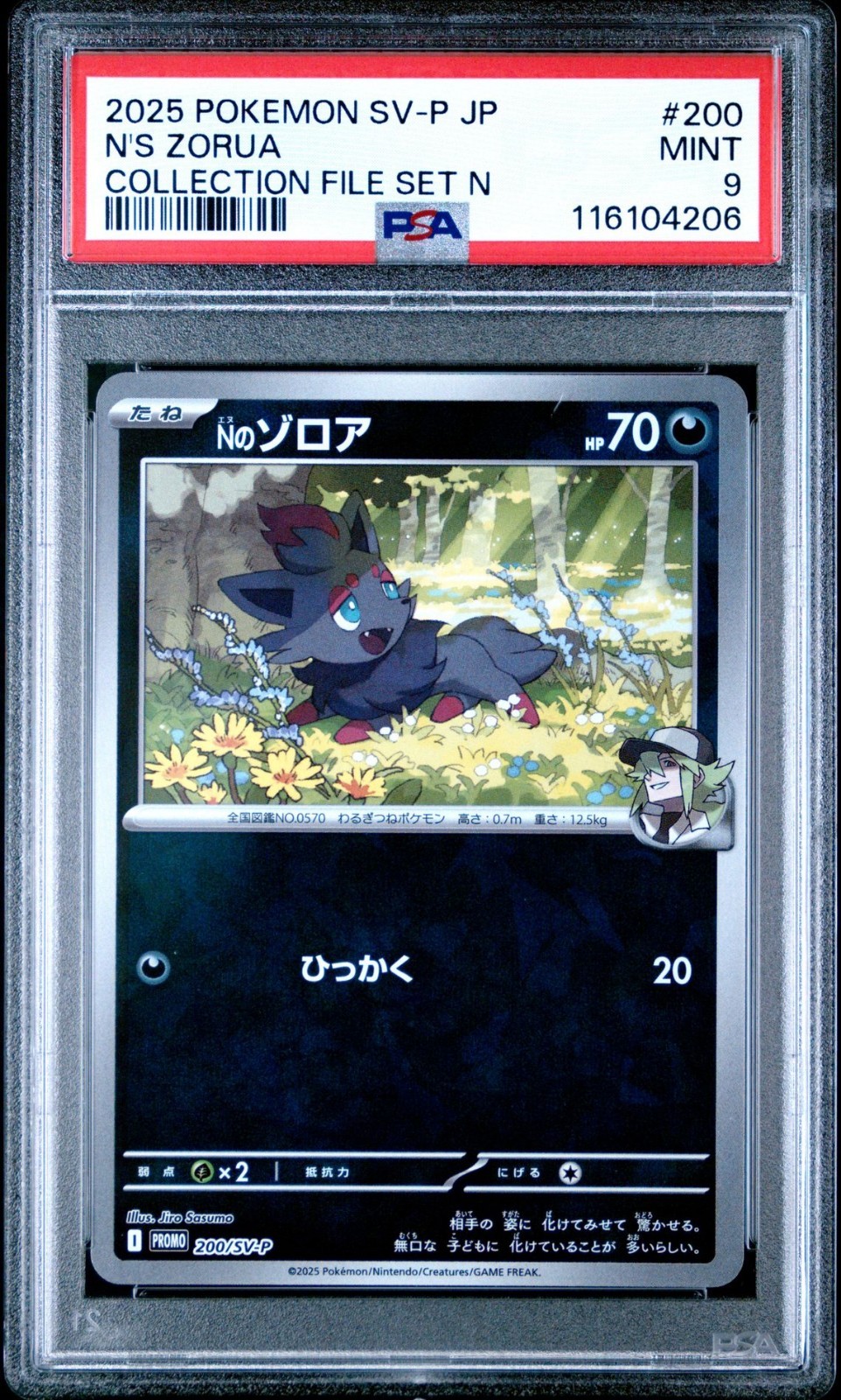 SSP ジョシュア PSA 9 N's Zorua 200/SV-P Cracked Ice Collection File Set N