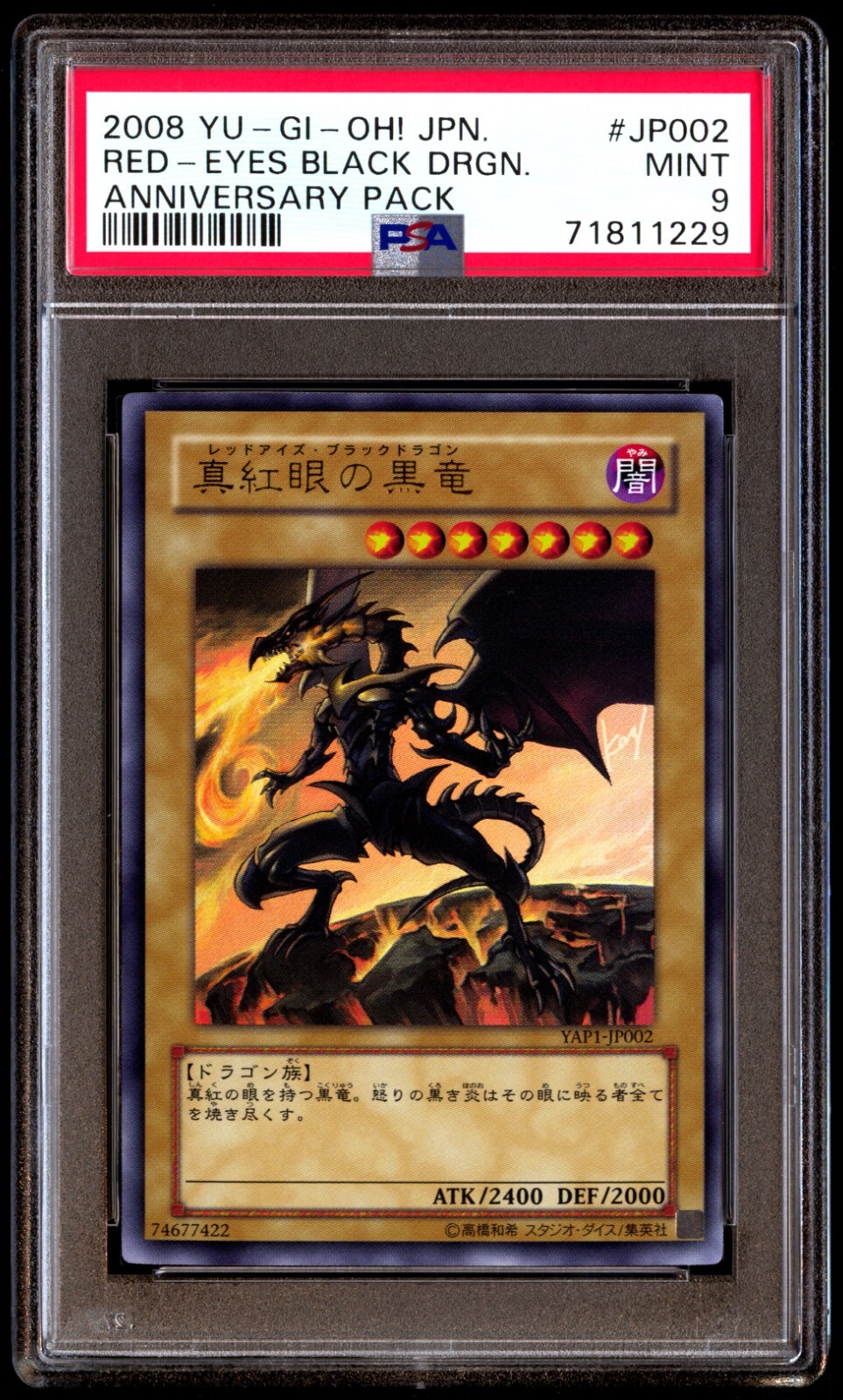 ブラック・ドラゴン YAP1-P002 PSA 7 NM Red-Eyes Black Dragon YAP1-JP002 Anniversary Pack