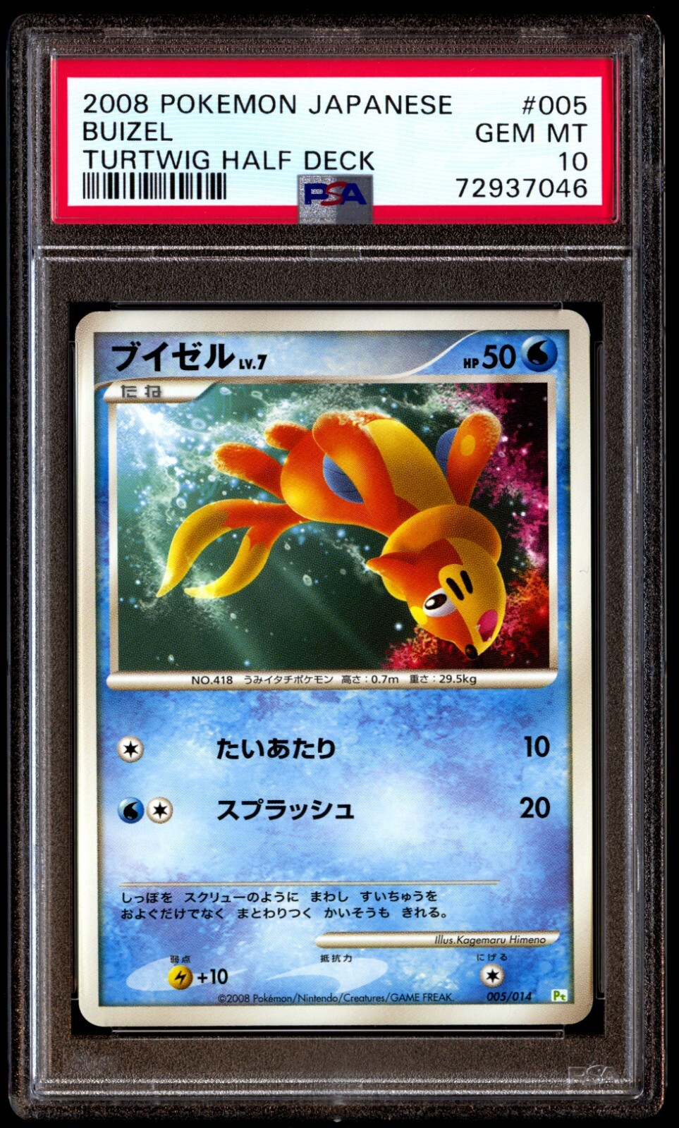 ポケドール ウソハチ 2005 PSA 10 Gem Mint Buizel 005/014 Turtwig Half Deck 2008
