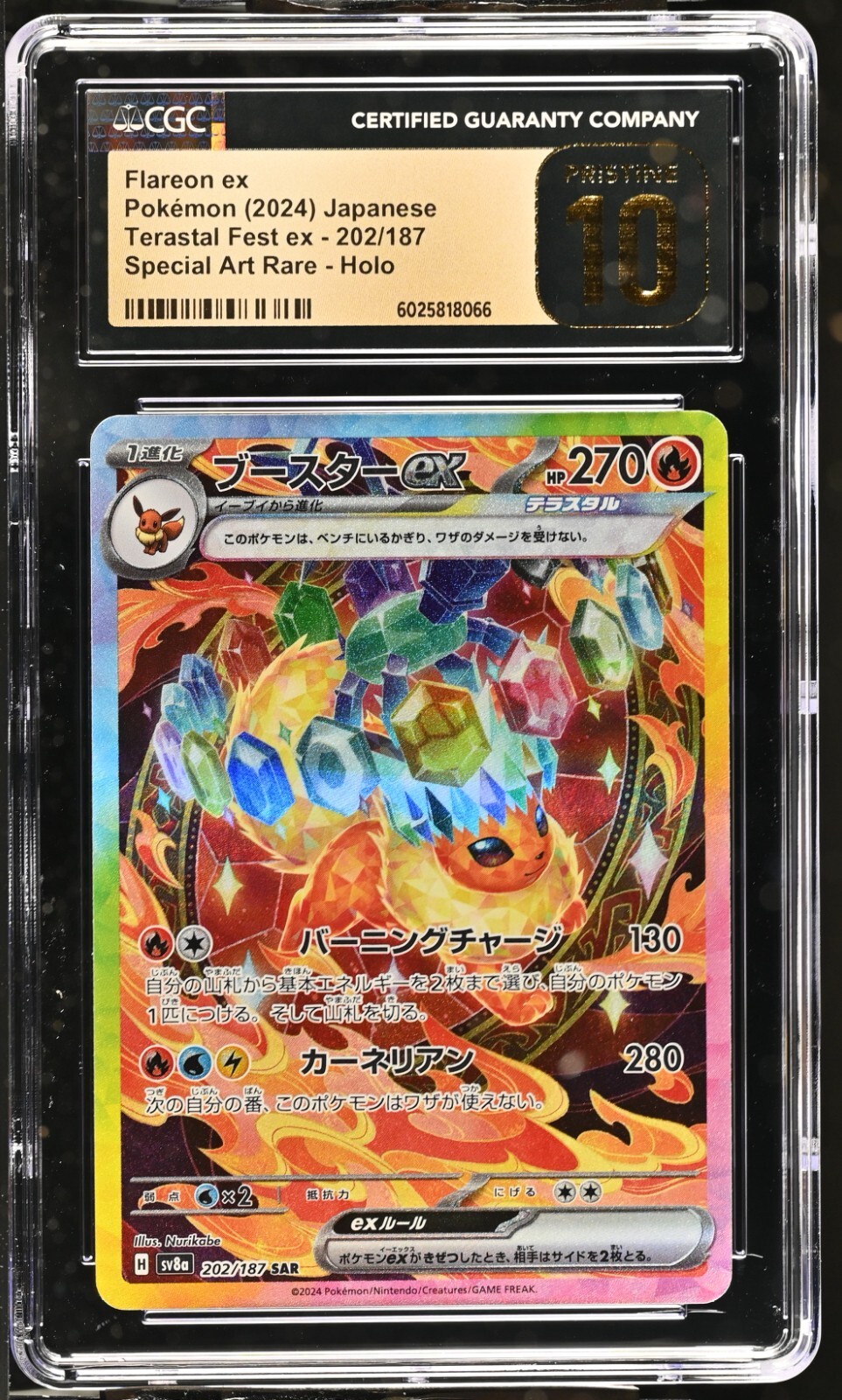 CGC 10 PRISTINE Flareon ex SAR 202 Terastal Festival Pokemon CGC 10 PRISTINE Flareon ex SAR 202 Terastal Festival Pokemon