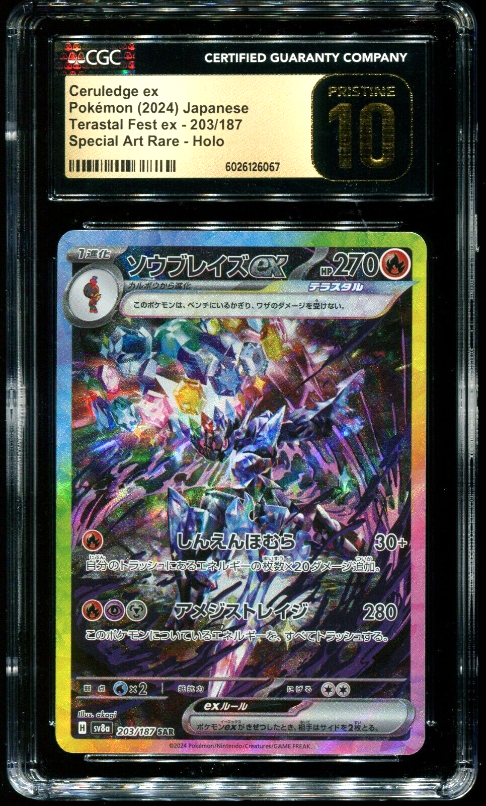 【CGC Pristine 10】イルカマンex SAR テラスタルフェス CGC 10 Pristine PSA10以上 イルカマン ex sar Palafin ex SAR