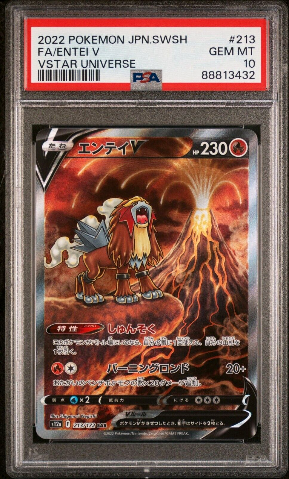 PSA 10 Entei V Full Art #213 VStar Universe Japanese Pokemon
