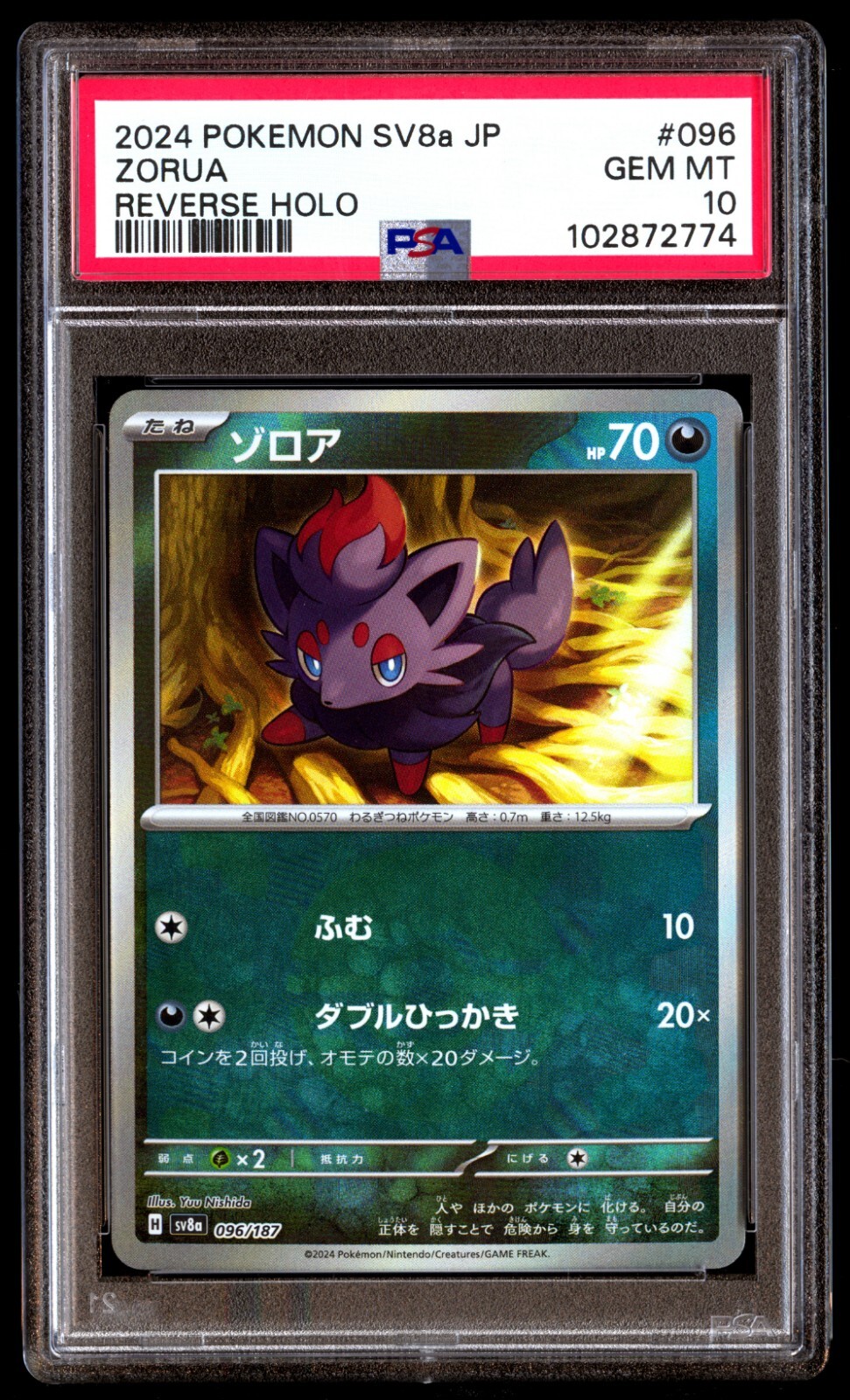 PSA 10 Gem Zorua 096/187 Terastal Festival SV8a Poke Ball