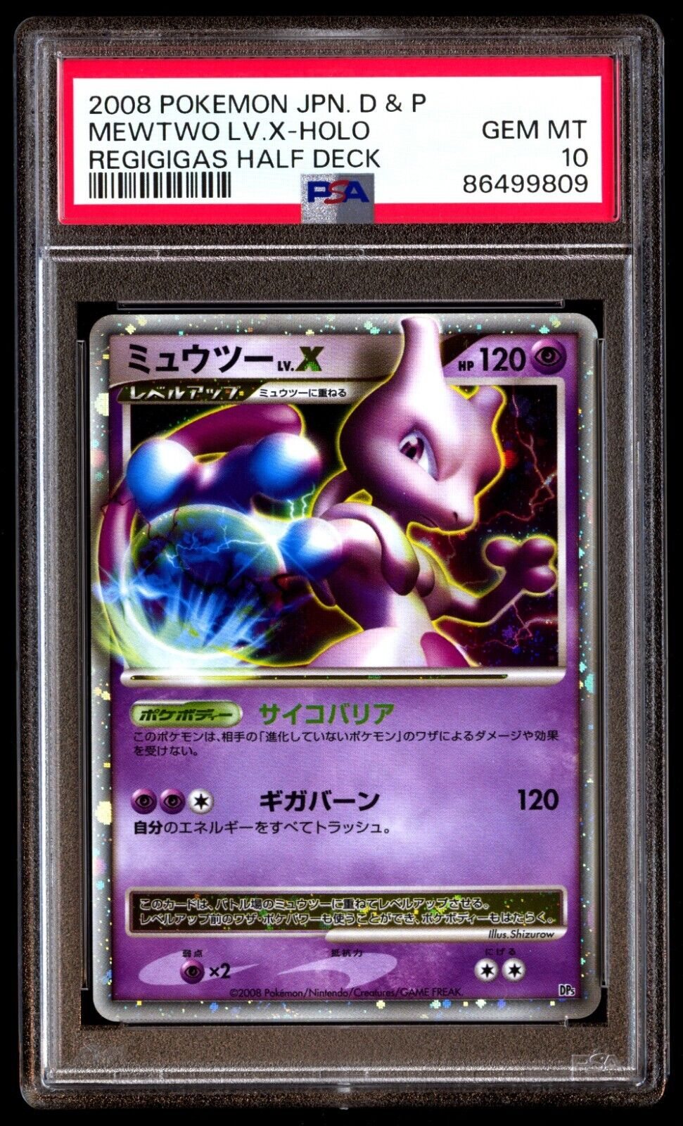 珍しい 英版シャワーズ チャンピオンシッププロモ PSA GEM-MT10 珍しい 英版シャワーズ チャンピオンシッププロモ PSA GEM-MT10