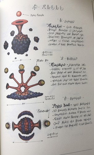 【奇書】 Codex Seraphinianus Luigi Serafini Serafini7__94652.1732217335.