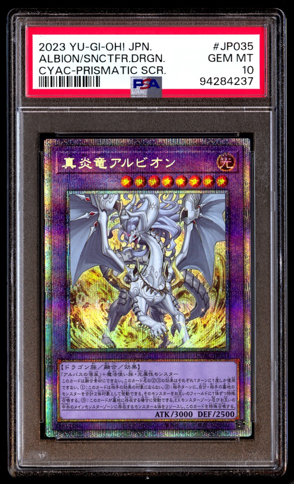 ゼニガメ ar GEM MT 10 psa10 PSA10鑑定済〕ゼニガメ(AR仕様)【-】{052/049}