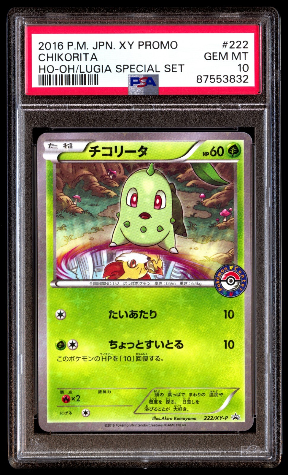 チコリータ CP3 PSA10 ポケモンカード チコリータ CP3 - メルカリ