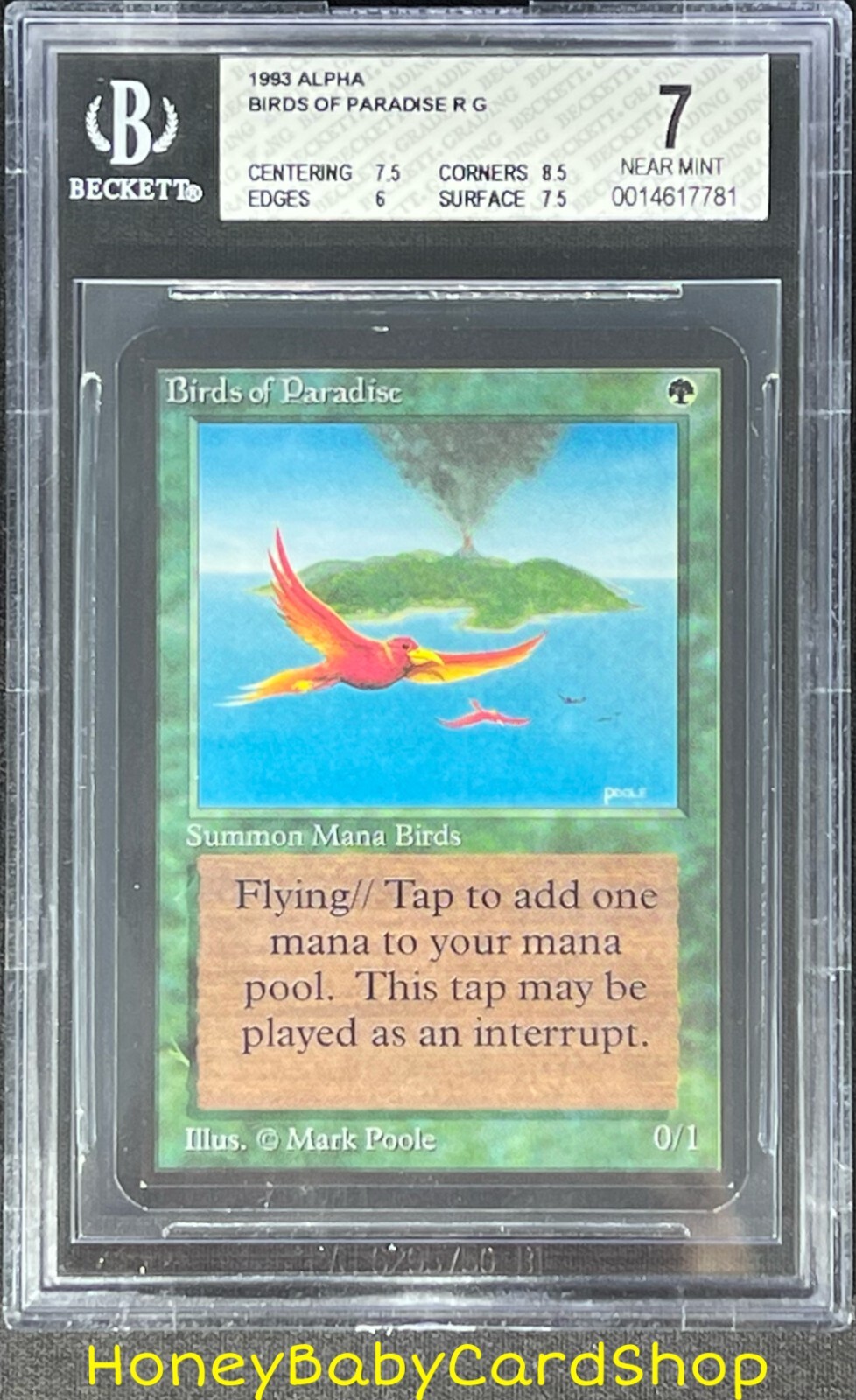 MTG Limited Edition Alpha 1993 Birds of Paradise BGS 7.0 NM MTG Limited Edition Alpha 1993 Birds of Paradise BGS 7.0 NM