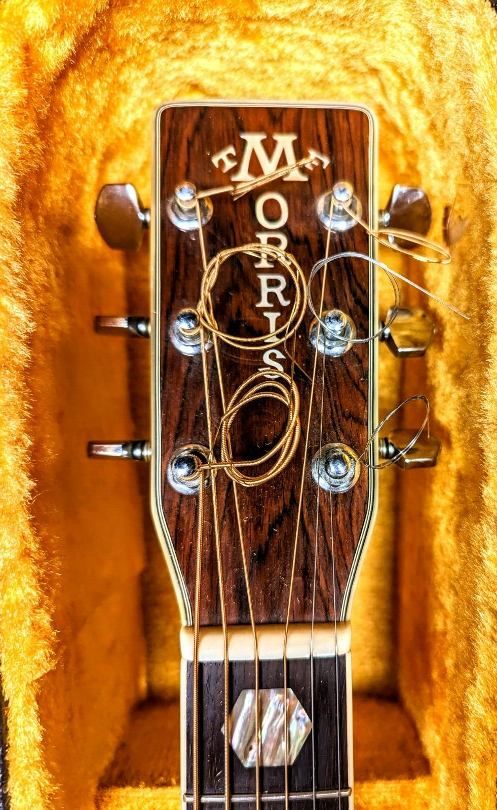 MORRIS アコースティックギター w-60 MORRIS W-60 Acoustic Guitar | eBay