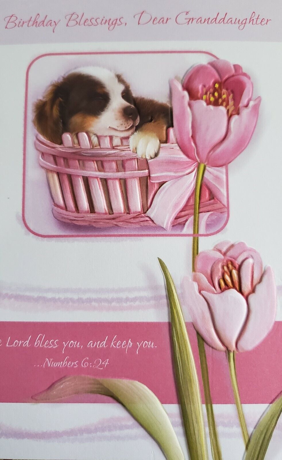 'Birthday Blessings, Dear Granddaughter w Numbers 6:24' birthday greeting card