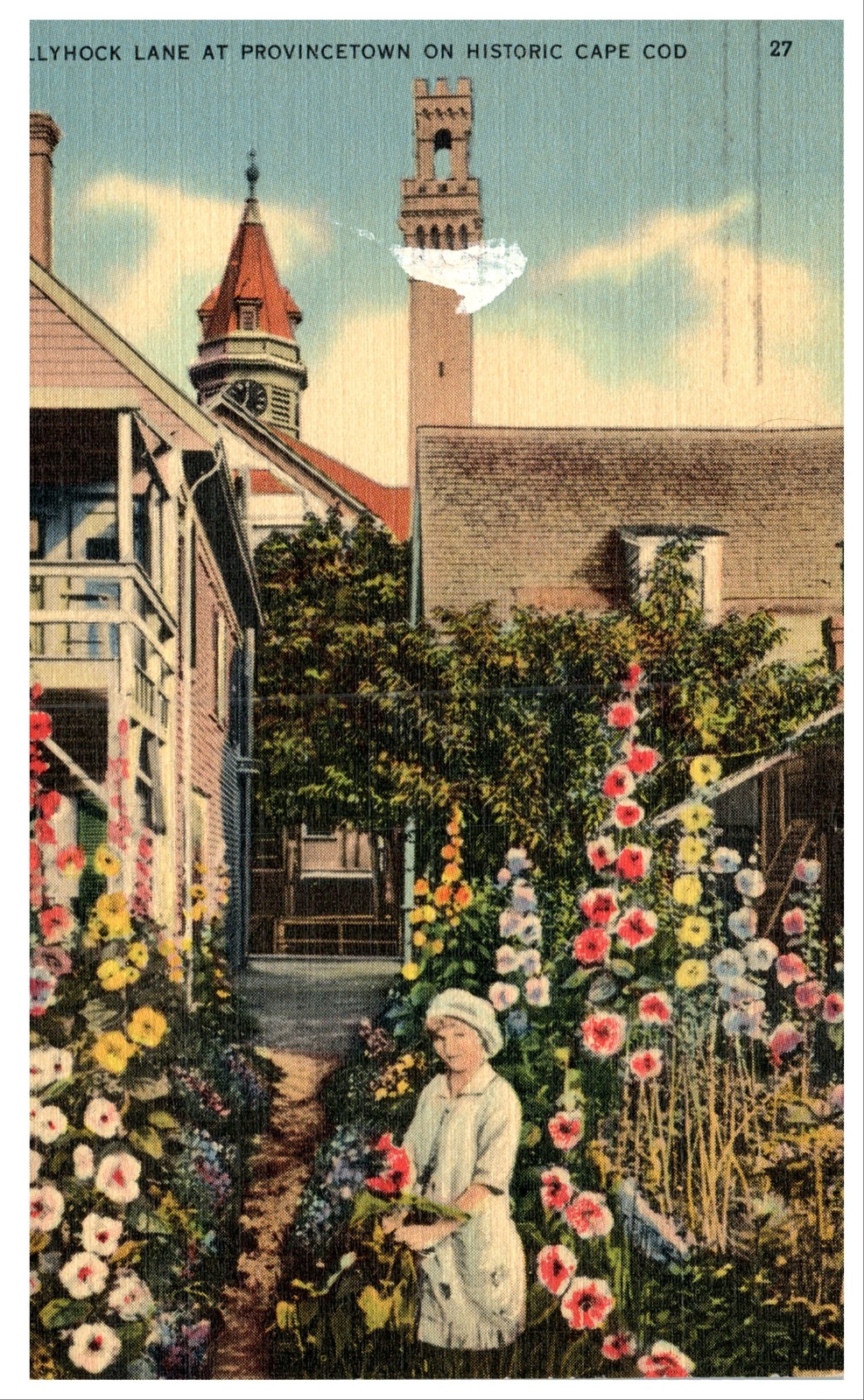 Hollyhock Lake At Provincetown On Historic Cape Cod Vintage Linen Postcard MA