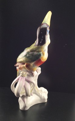 RARE! Antique Meissen Porcelain Toucan with Orchid Figurine Bird Paul Walther