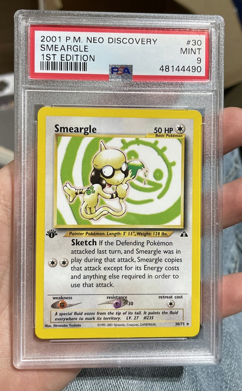 Smeargle Pokemon Cards Find Pokemon Card Pictures With Our Database 