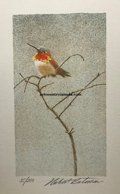 Robert BATEMAN Original LITHOGRAPH Rufous Hummingbird LE art print hand coloured