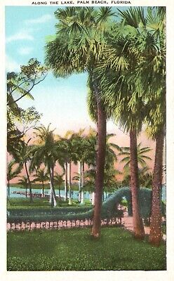 Postcard FL Palm Beach Florida Along the Lake White Border Vintage PC H9301