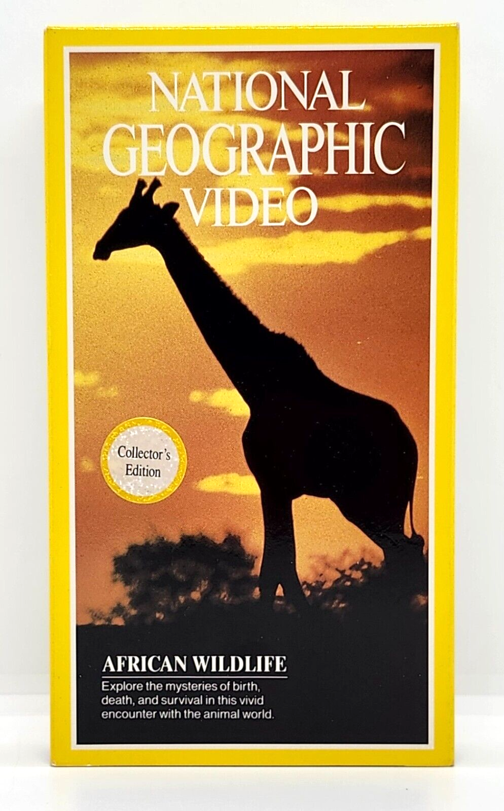 $_57.PNG?set_id=880000500F