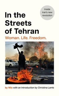 NEW BOOK In the Streets of Tehran by Bonnier (2024)