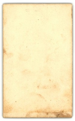 Antique CDV Circa 1860s Gorgeous Lady In Dress Unmarked — additional view