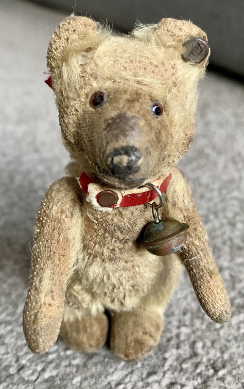 supreme steiff bear replica